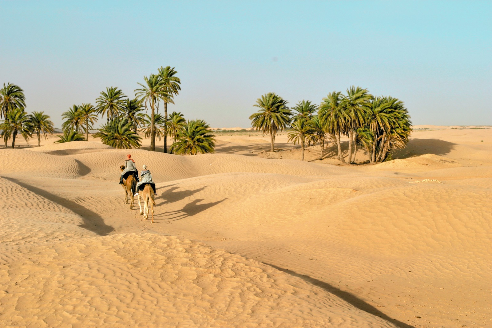 Климат туниса. Тунис климат. Тунис Африка климат. Пустыня сахара в Тунисе. Тунис климатический пояс.