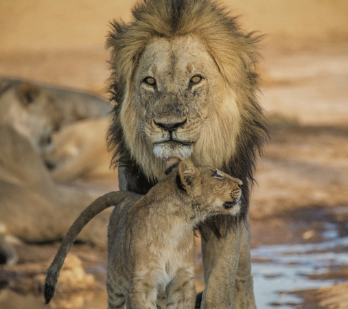 Victoria Falls Botswana